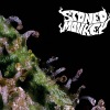 Stoned Monkey - Stoned Monkey