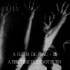 Déhà - A Fleur de Peau - III A Fire That Does Not Burn