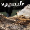 Suzie Cries For Help - Scars Of Memory
