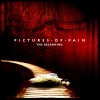 Pictures Of Pain - The Reckoning