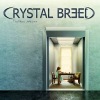Crystal Breed - The Place Unknown