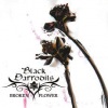 Black Daffodils  - Broken Flower