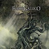 Furor Gallico - Songs From The Earth